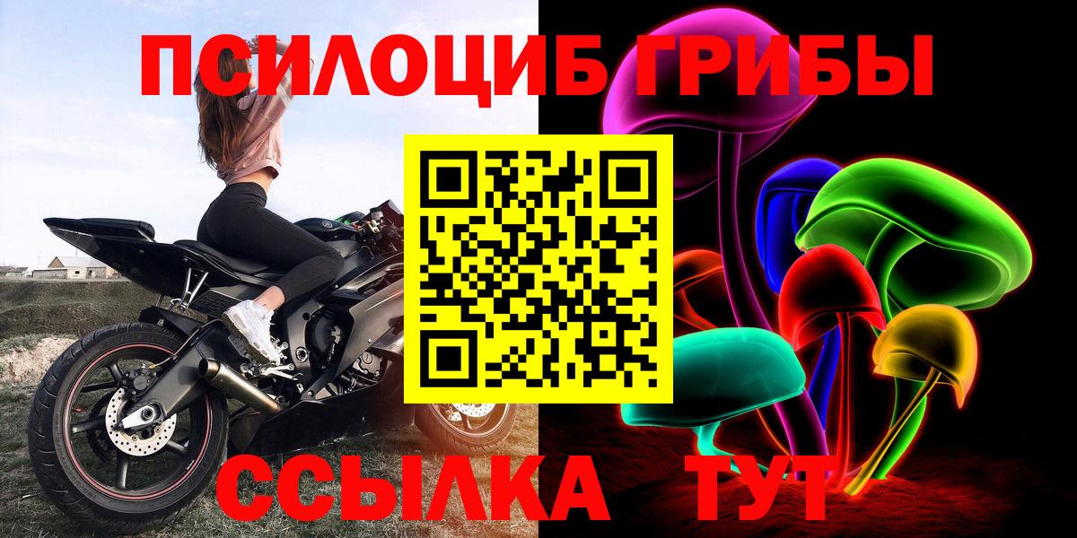 Алапаевск  Псилоцибиновые грибы Psilocybine cubensis  Вход с VPN 